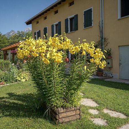 Casa Edith Libano Exteriér fotografie
